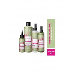 Urban Care Rosemary & Clove Biberiye ve Karanfil Saç Bakım 4lü Set